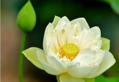 确保信的同时提高