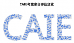 调查含实操模块的证书（如CAIELevelII的企业工程实